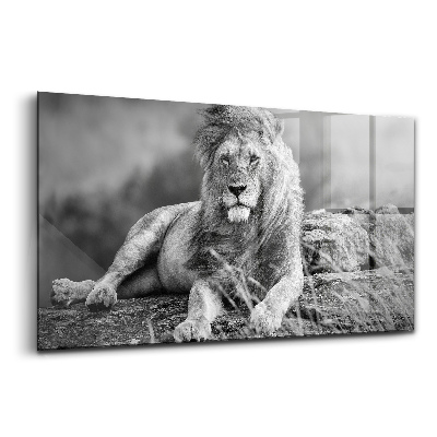 Tablou sticlă Uneori merită să-l oprești pe leu