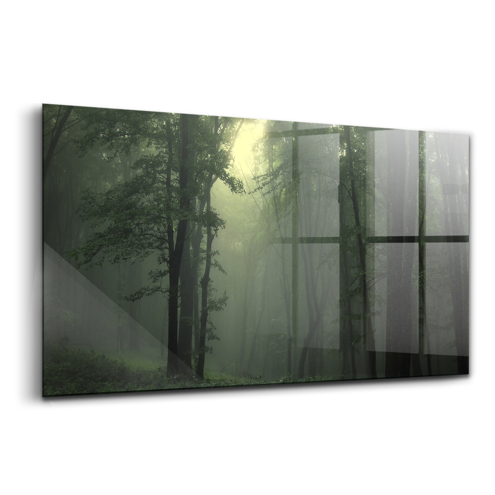 Tablou sticlă Pădurea încețoșată dimineața