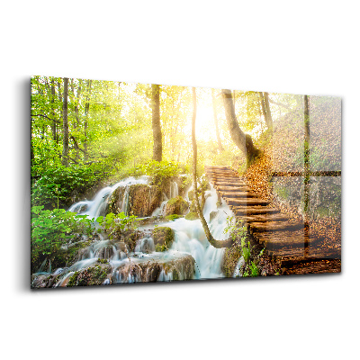 Tablou din sticlă Pârâu de pădure