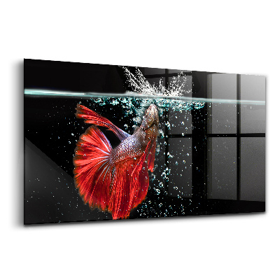 Tablou din sticlă Pești de acvariu