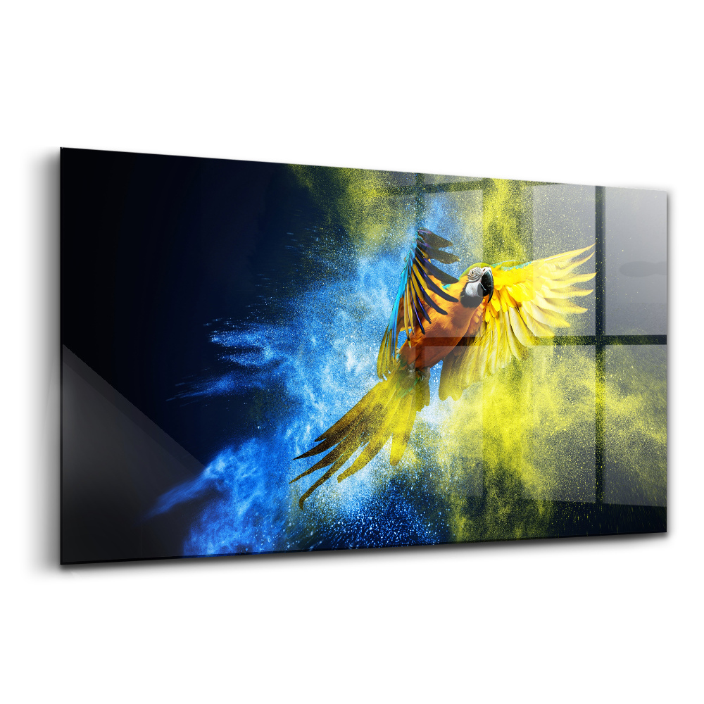 Tablou sticlă Papagal colorat
