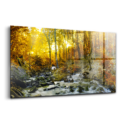 Tablou pe sticlă Pădurea de toamnă