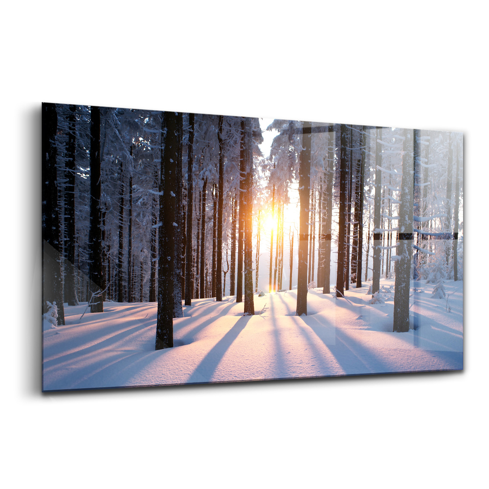 Tablou pe sticlă Apus de soare în pădure, iarnă