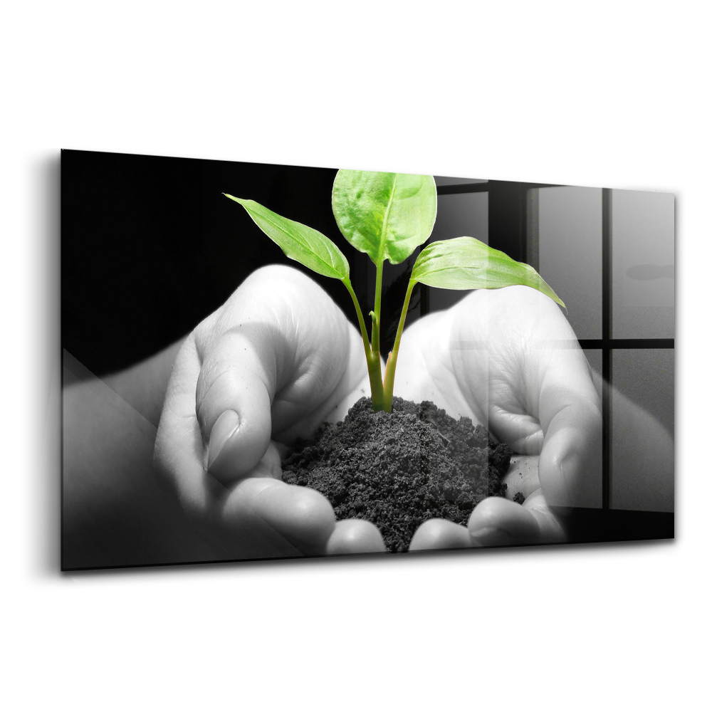 Tablou din sticlă O plantă în mâini