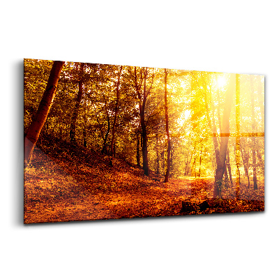 Tablou din sticlă Peisaj apus de soare de toamnă