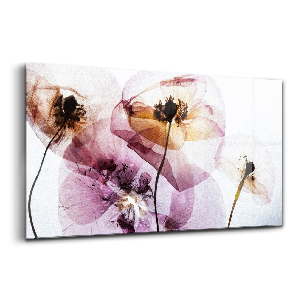 Tablou pe sticlă Flori uscate de mac
