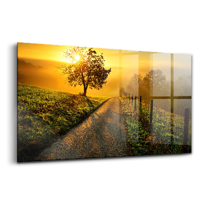 Tablou sticlă Ceață la răsărit