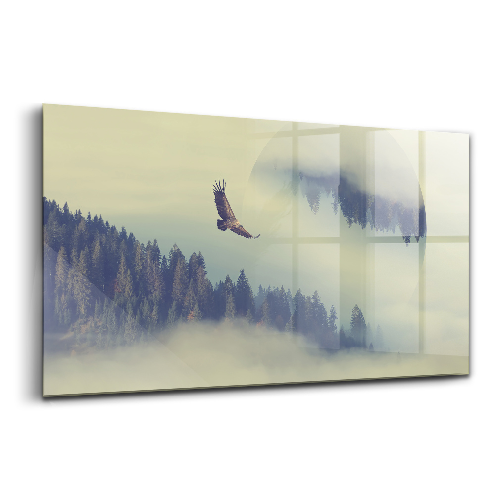 Tablou din sticlă Vulturul pădurii încețoșate