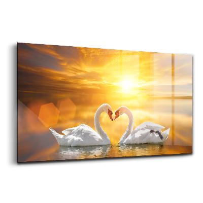 Tablou din sticlă Lebede îndrăgostite