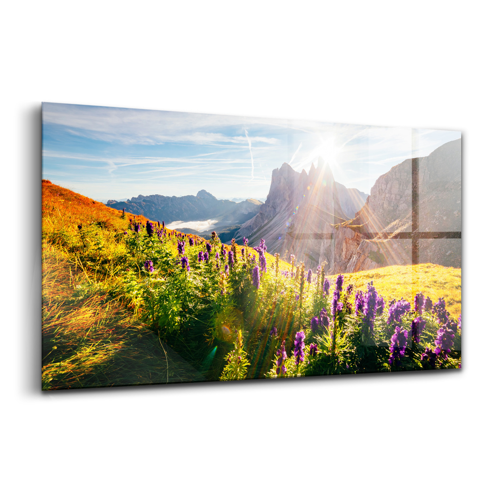 Tablou de sticlă Pajiște de lavandă