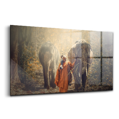 Tablou din sticlă Călugăr conducând elefanți