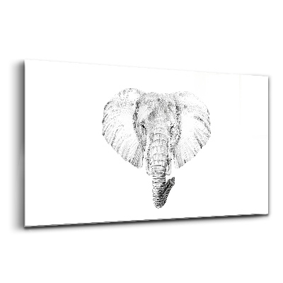 Tablou de sticlă Cap de elefant vectorial