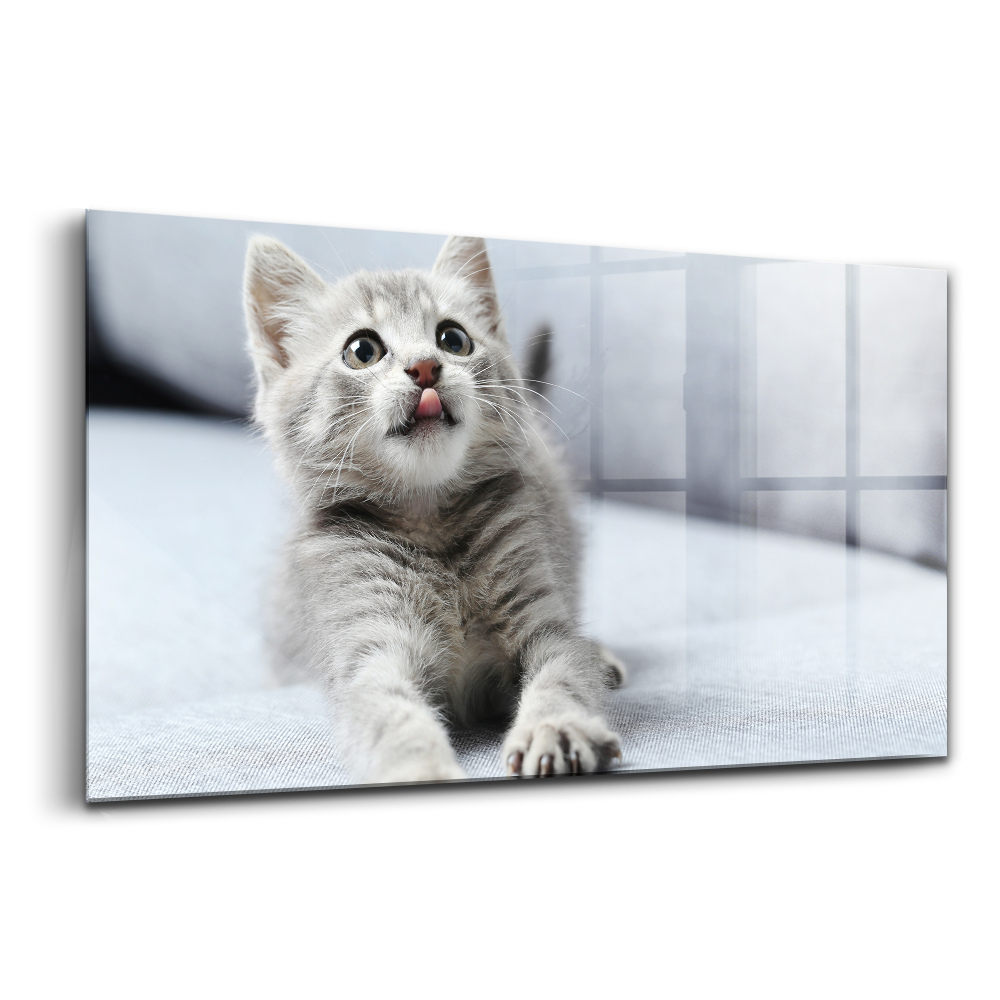 Tablou din sticlă Pisicuță frumoasă pe o canapea gri