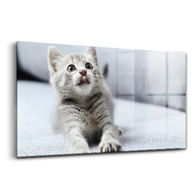 Tablou din sticlă Pisicuță frumoasă pe o canapea gri