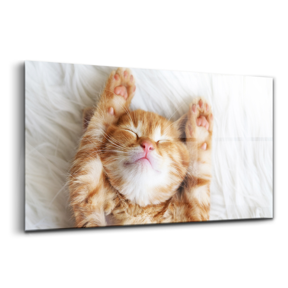 Tablou pe sticlă Pisicuță mică dormind