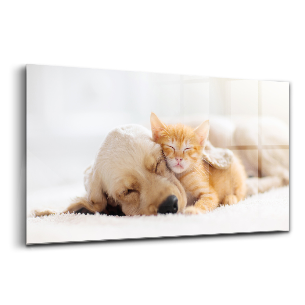 Tablou sticlă Pisica și câinele dormind