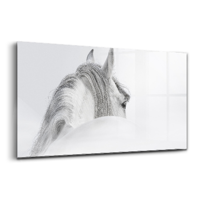 Tablou de sticlă Cal andaluz în ceață