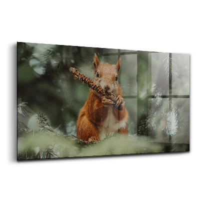 Tablou de sticlă Veveriță natură sălbatică
