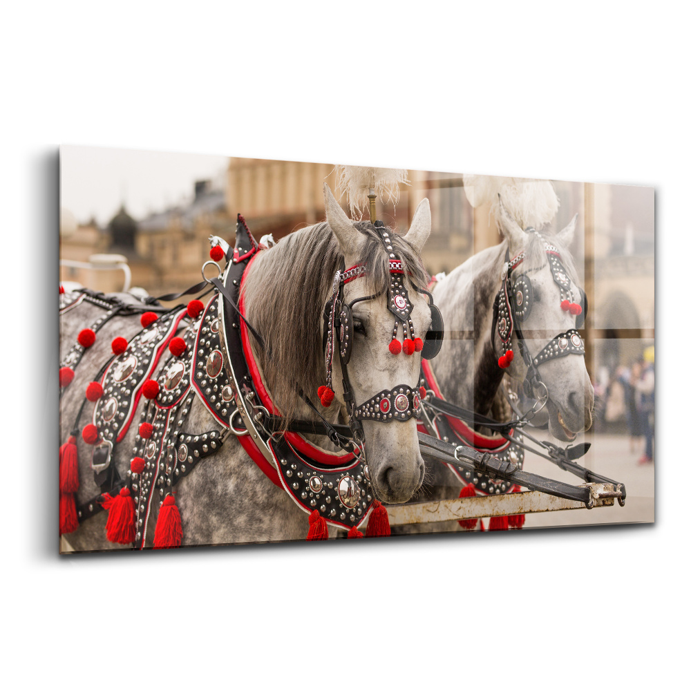 Tablou pe sticlă Cai frumoși în centrul Cracoviei