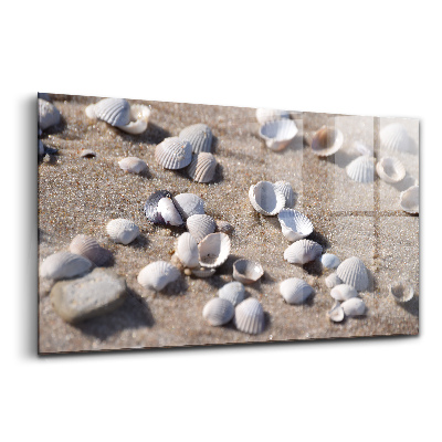 Tablou de sticlă Scoici pe plajă