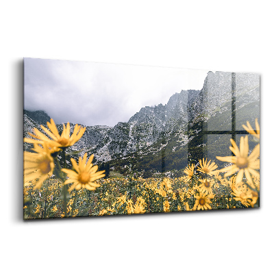 Tablou pe sticlă Flori de luncă în Munții Tatra