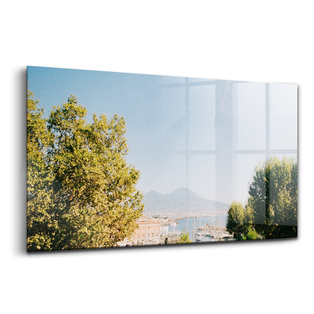 Tablou sticlă Copaci verzi în Napoli