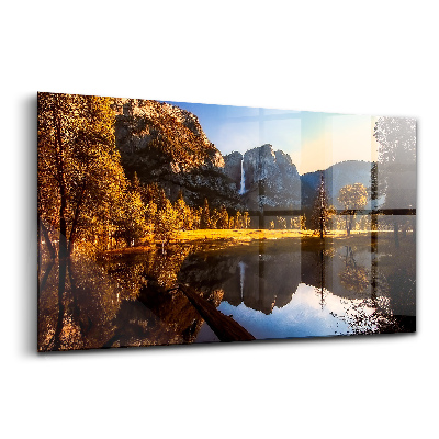 Tablou sticlă Pădurea Parcului Yosemite