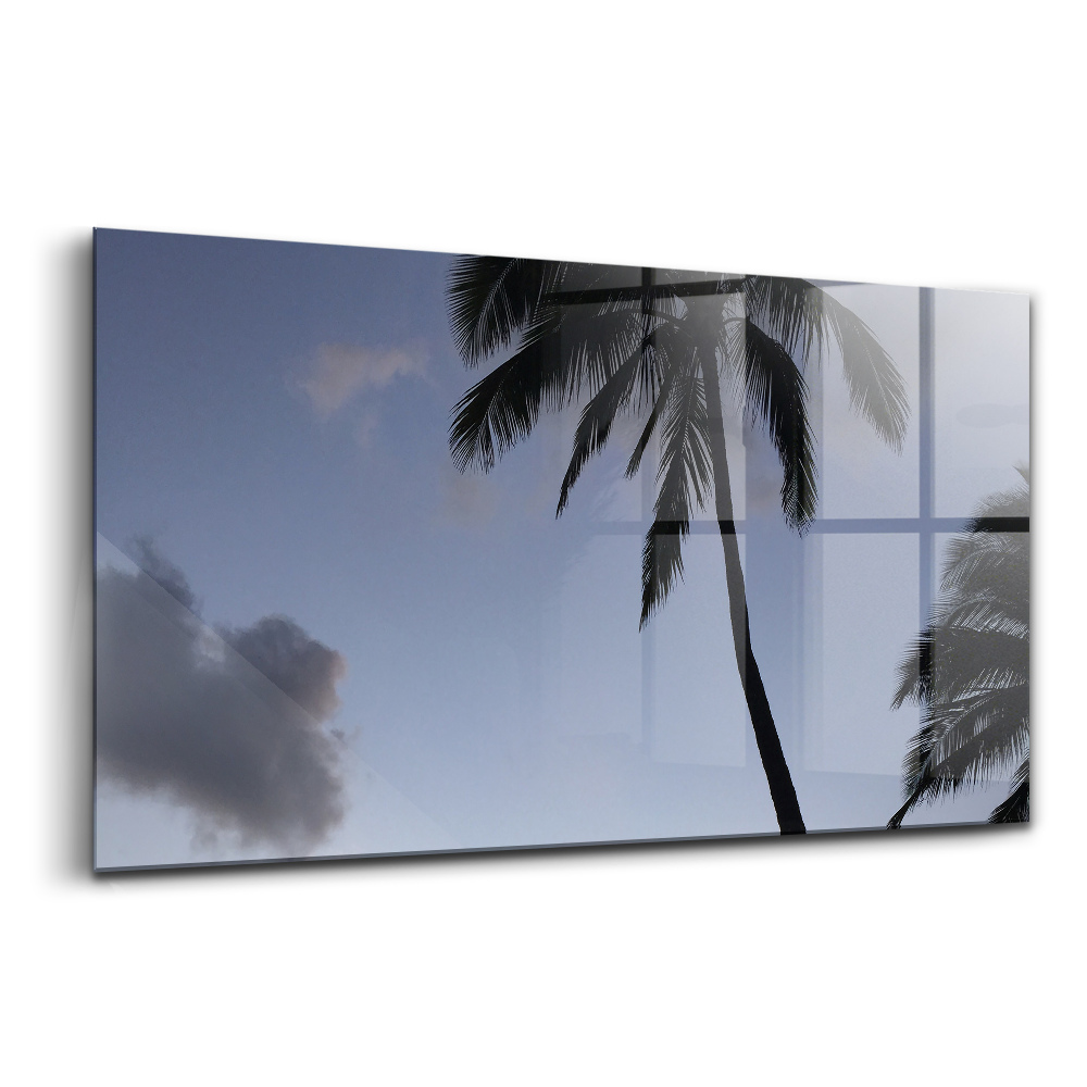 Tablou pe sticlă Răsărit de soare cu palmier