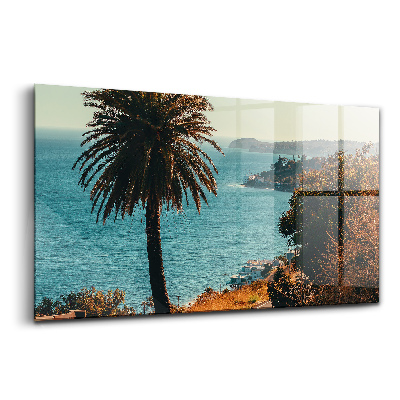 Tablou de sticlă Palmieri în Malibu