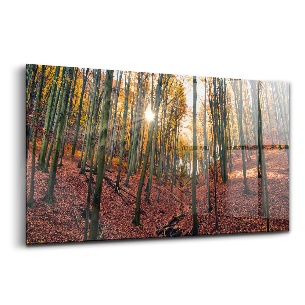 Tablou de sticlă Apus de soare și copaci