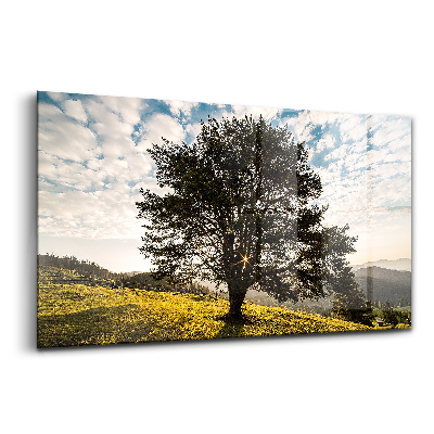 Tablou din sticlă Arbore de foioase pe un deal
