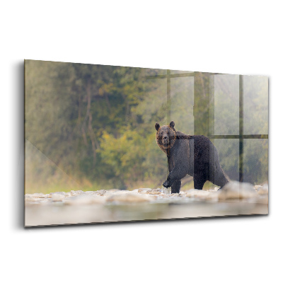 Tablou din sticlă Urs în Munții Bieszczady