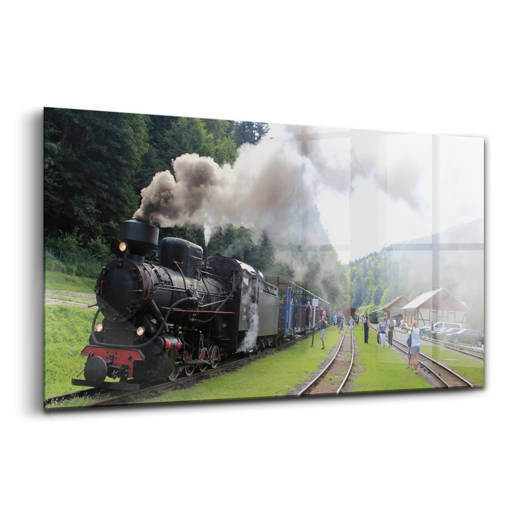 Tablou pe sticlă Tren în Munții Bieszczady