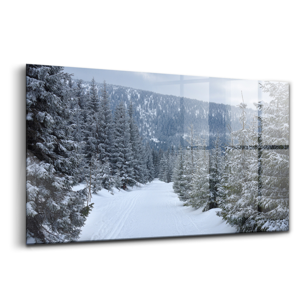 Tablou din sticlă Munții Cehi Krkonoše iarna