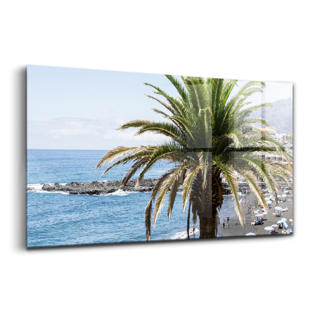 Tablou sticlă Nucă de cocos lângă mare