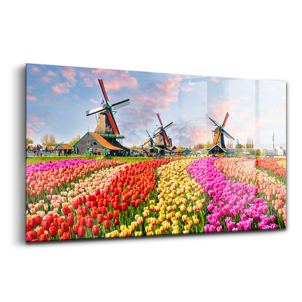 Tablou de sticlă Peisaj cu lalele Olanda