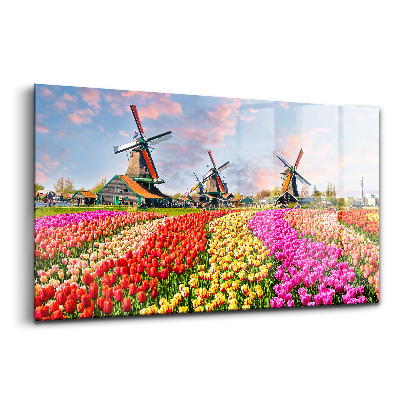 Tablou de sticlă Peisaj cu lalele Olanda