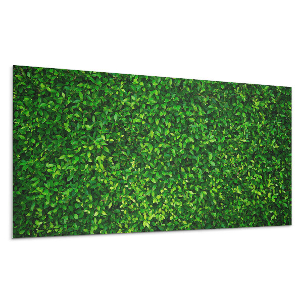 Panou perete Un zid dens de frunze