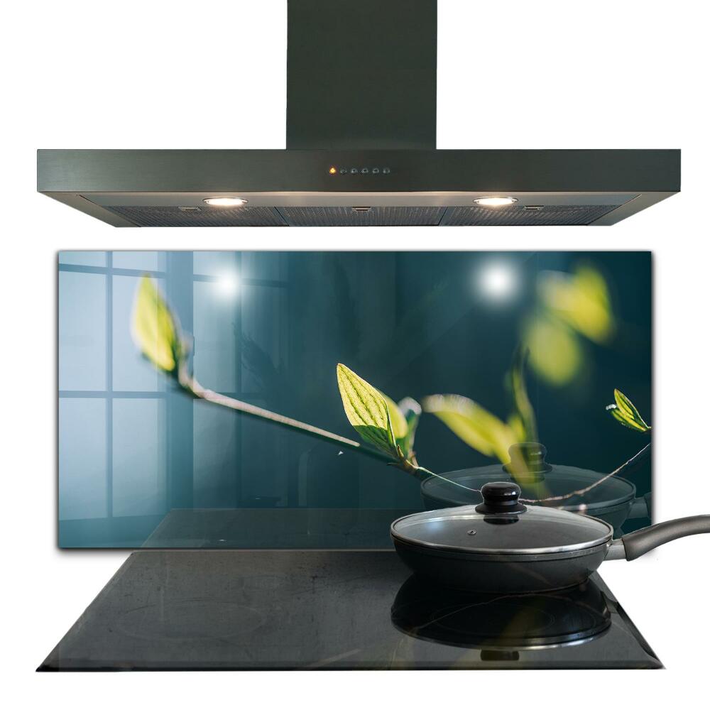 Sticlă bucătărie Frunză strălucitoare pe o ramură