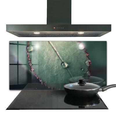 Sticlă pentru bucătărie Frunză cu picătură de rouă