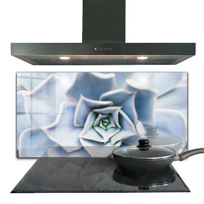 Sticlă pentru bucătărie Cactus suculent