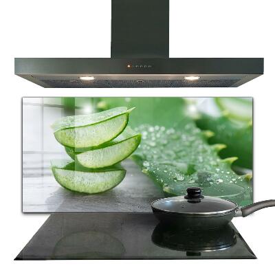 Sticlă pentru bucătărie Aloe vera plantă