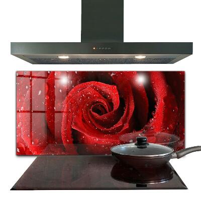 Sticlă pentru bucătărie Picături de rouă pe un trandafir roșu