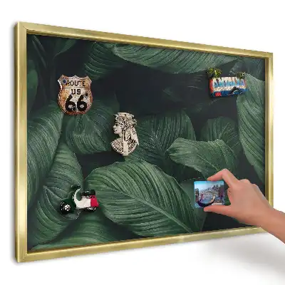 Tablă magnetică imprimată de perete Frunze verzi de aproape