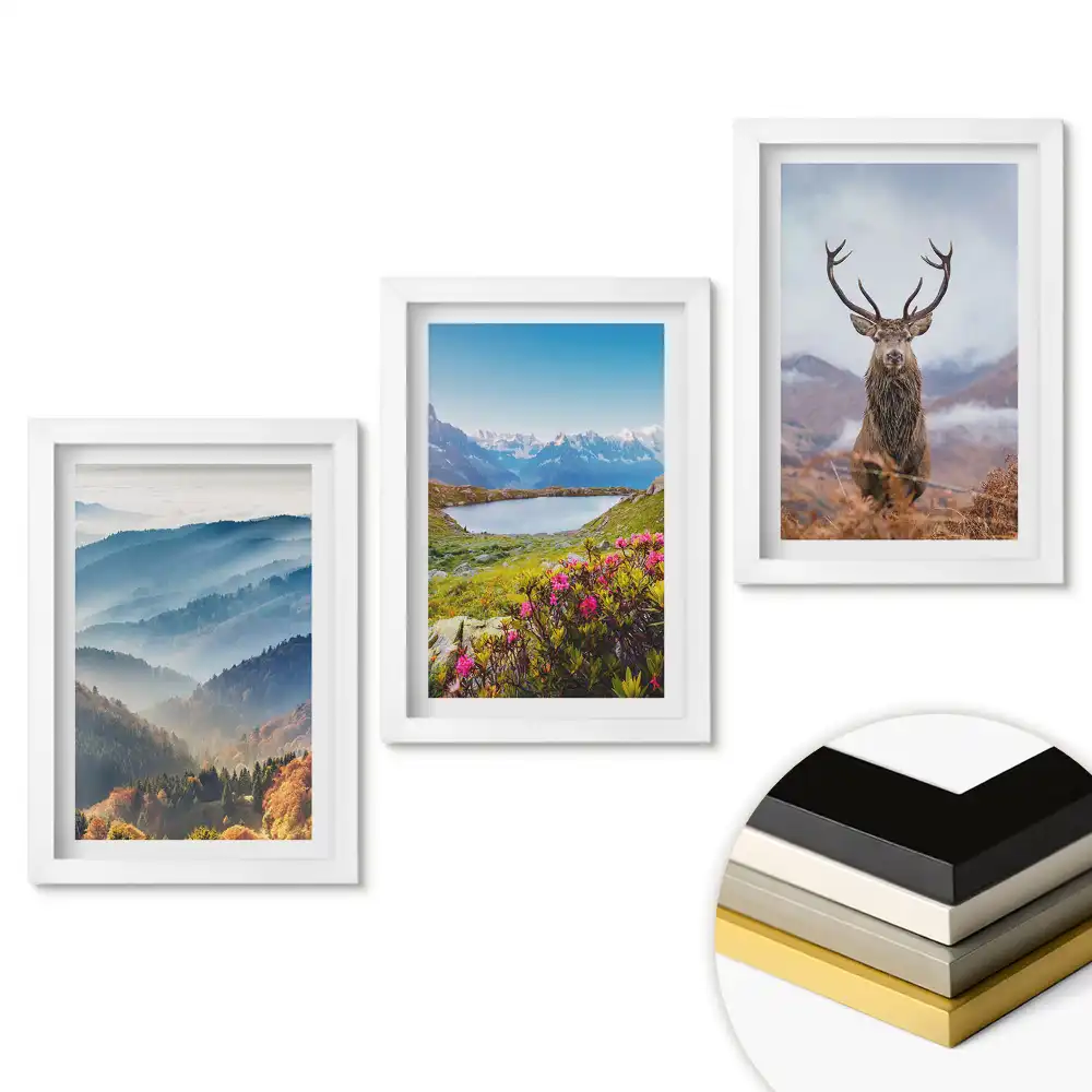 Set de 3 tablouri pentru dormitor Frumusețea naturii