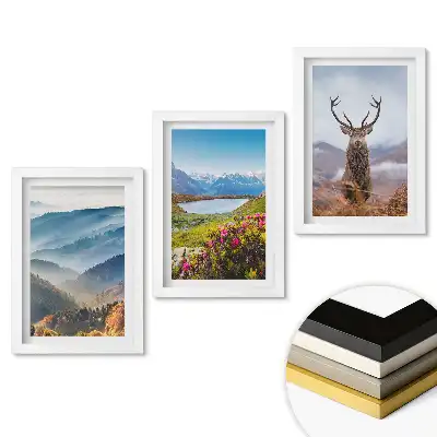 Set de 3 tablouri pentru dormitor Frumusețea naturii