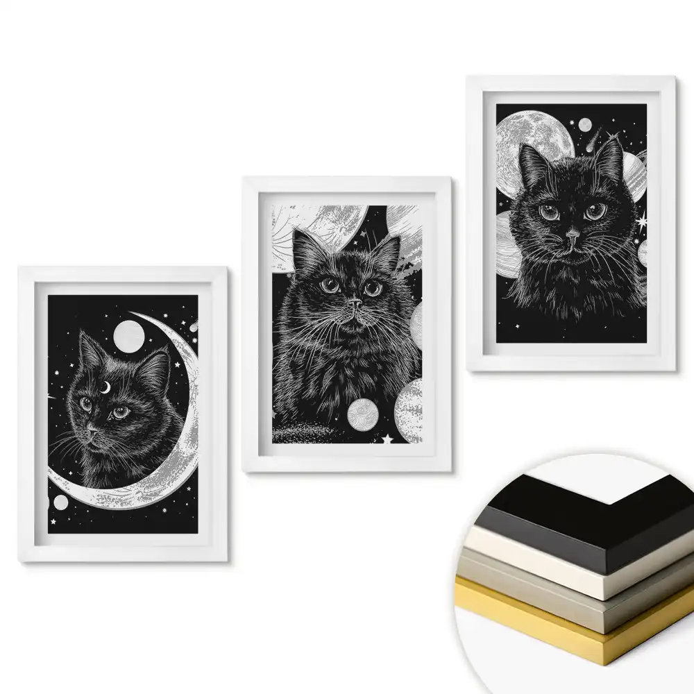 Set de tablouri pentru living cu pisici într-o scenă de noapte cosmică