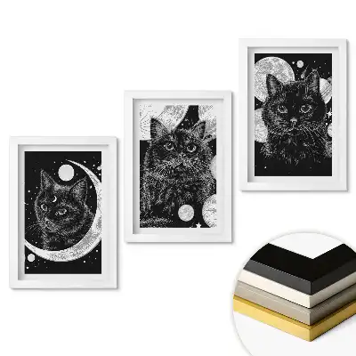 Set de tablouri pentru living cu pisici într-o scenă de noapte cosmică