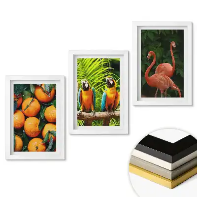Set 3 tablouri pentru dormitor cu design natură colorată