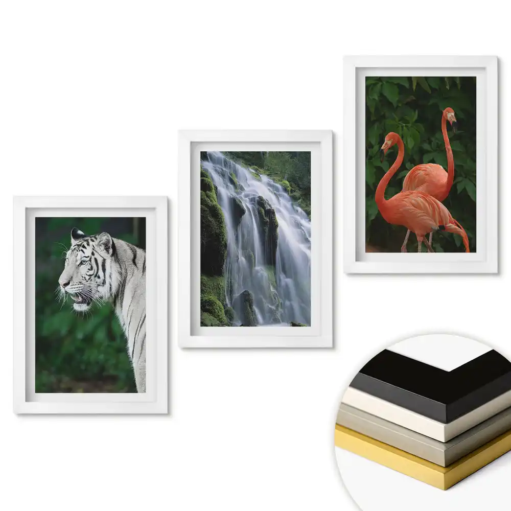 Set de tablouri pentru living Animale și natură în armonie